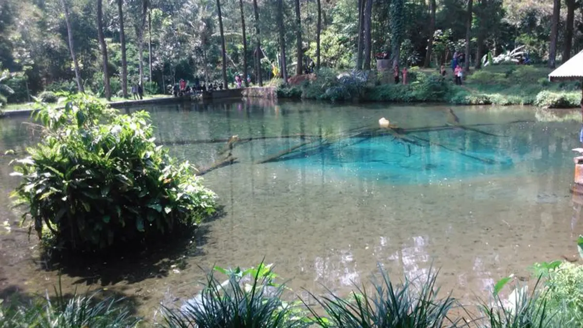 Situs Rambut Monte di Blitar menyuguhkan kolam mata air alami, ikan dewa yang dikeramatkan, serta candi peninggalan Hindu. Cocok untuk wisata sejarah sekaligus menikmati alam. (Pinterest) 