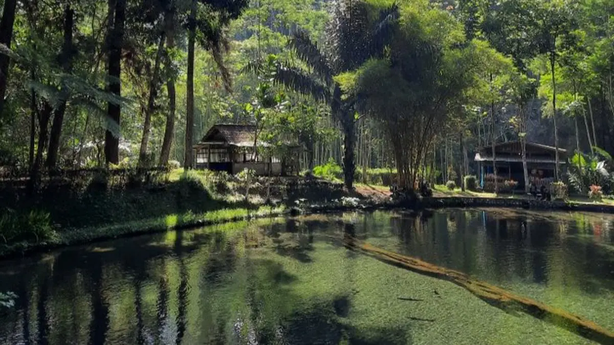 Telaga Rambut Monte di Blitar menyimpan legenda Mbah Monte, naga penjaga, dan ikan dewa yang dipercaya tak pernah berkurang. Simak kisah lengkapnya di sini. (Pinterest) 