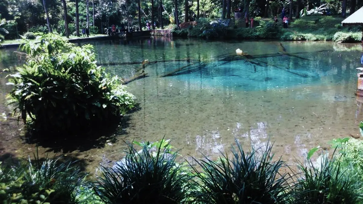 Rambut Monte Blitar menawarkan telaga eksotis, ikan dewa, serta legenda Mbah Monte yang menjadi bagian dari kekayaan budaya dan daya tarik wisata alam Blitar. (PINTEREST)