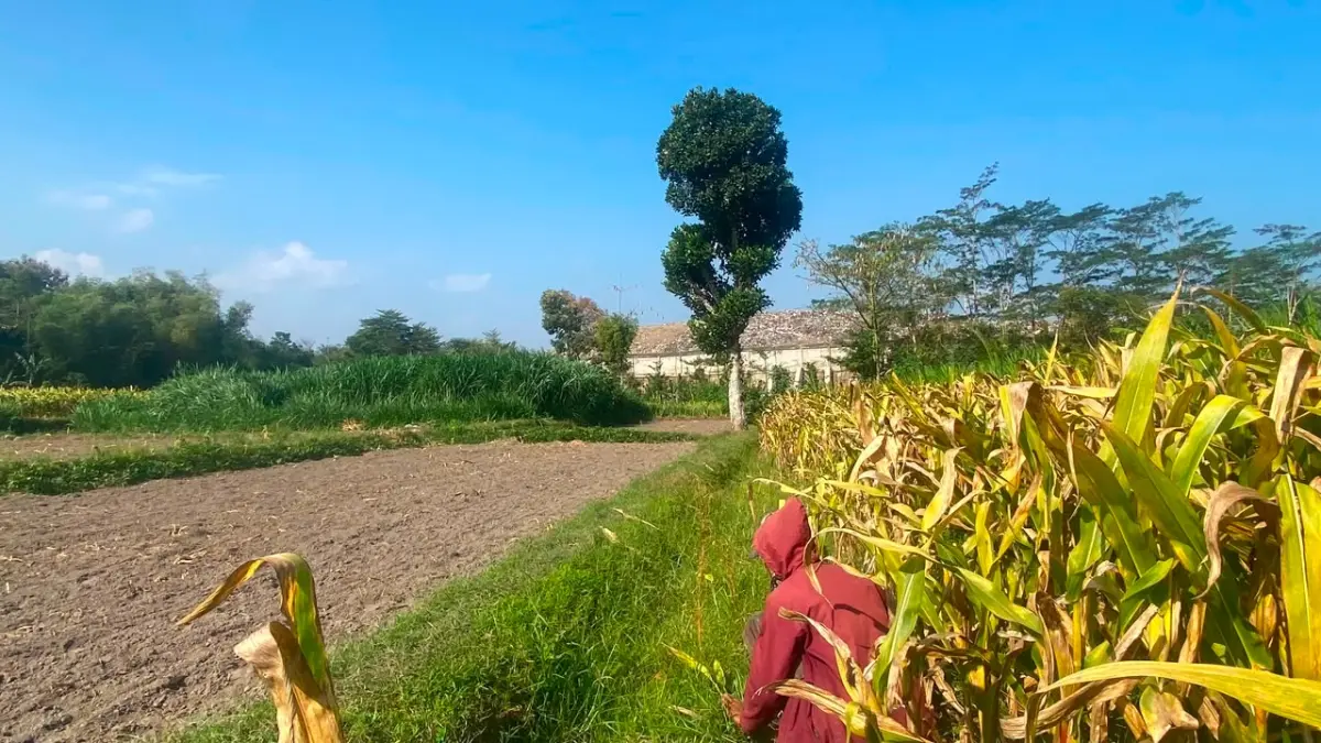 Rencana perluasan dan pengembangan lahan untuk mendukung penataan Tempat Pembuangan Akhir (TPA) Ngegong, Kota Blitar, masih menemui kendala.