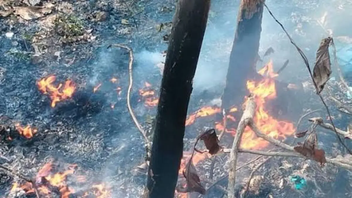 Larangan membuang puntung rokok di hutan bertujuan utama untuk mencegah Kebakaran Hutan dan Lahan (Karhutla)