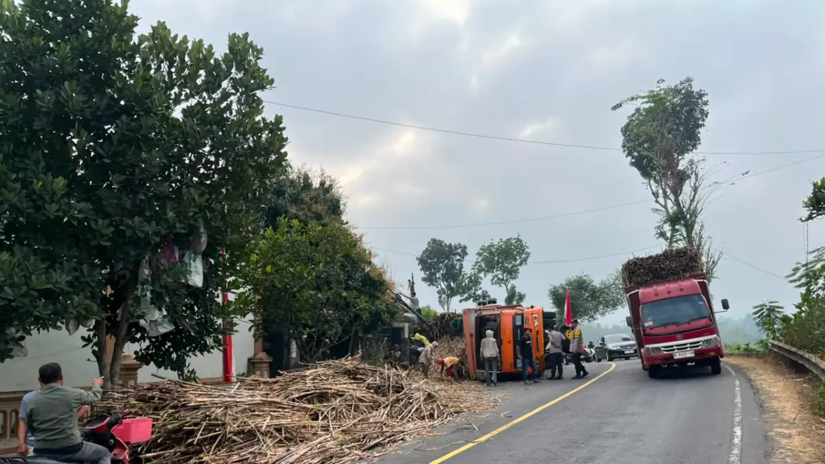 Truk bermuatan tebu terguling di jalur nasional Desa Pagergunung, Kecamatan Kesamben, Kabupaten Blitar, saat musim giling tebu.