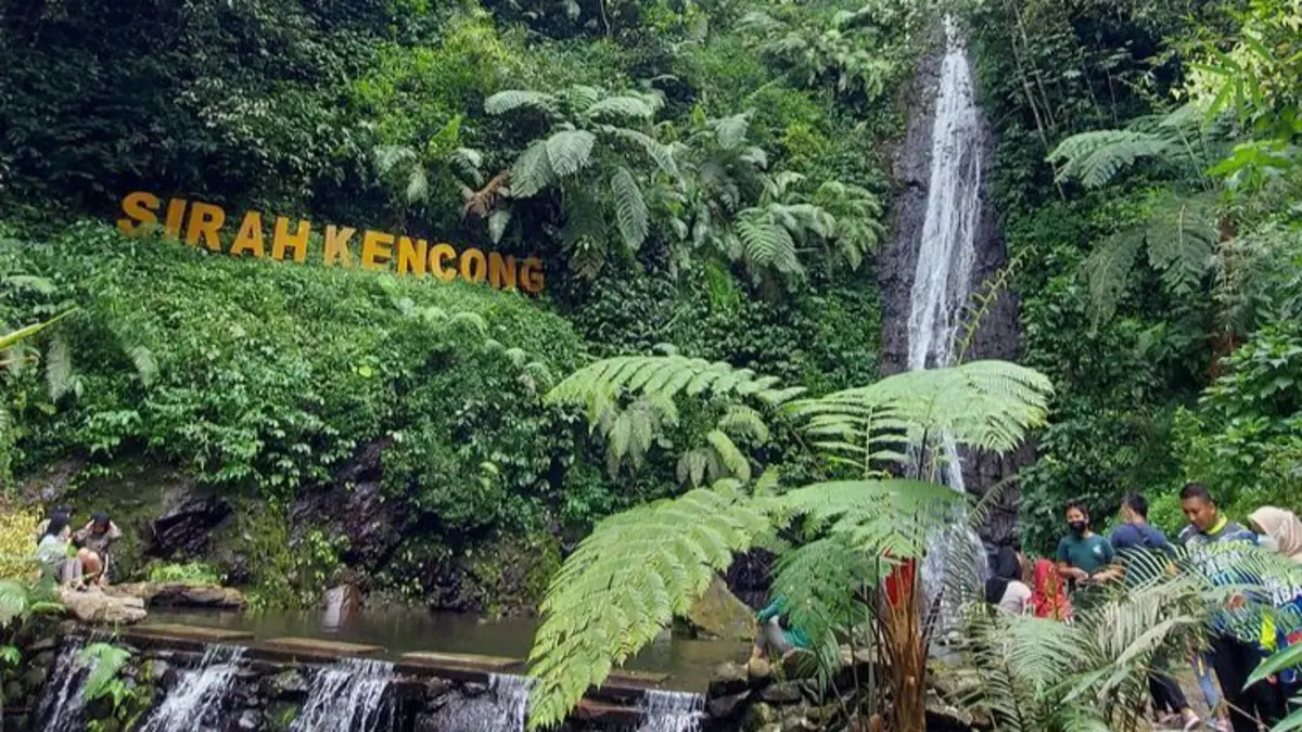 Wisata Sirah Kencong Blitar menawarkan hamparan kebun teh, jalur trekking, dan air terjun alami yang cocok untuk liburan keluarga maupun healing di akhir pekan. (Pinterest) 