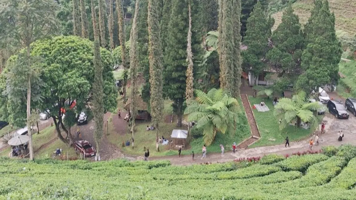 Wisata Sirah Kencong Blitar menawarkan hamparan kebun teh, trekking menuju air terjun, dan udara sejuk yang cocok menjadi destinasi liburan bersama keluarga. (Pinterest) 