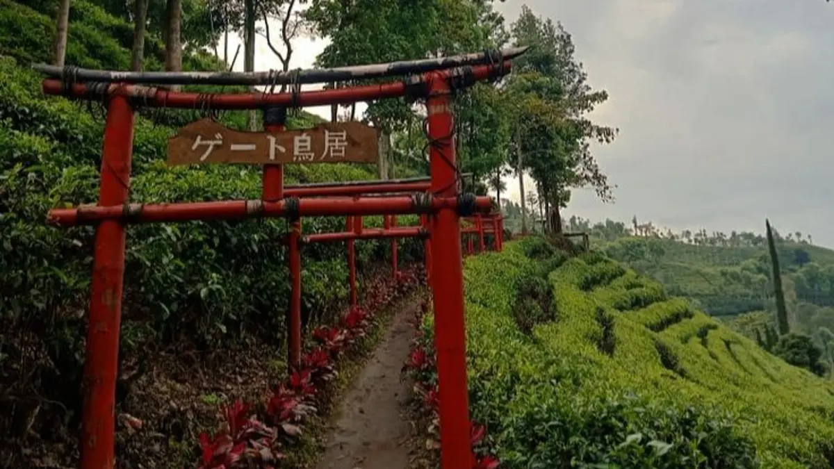 Wisata Sirah Kencong Blitar menghadirkan hamparan kebun teh, trekking menuju air terjun, dan udara pegunungan yang sejuk, cocok untuk liburan dan healing bersama keluarga. (Pinterest) 