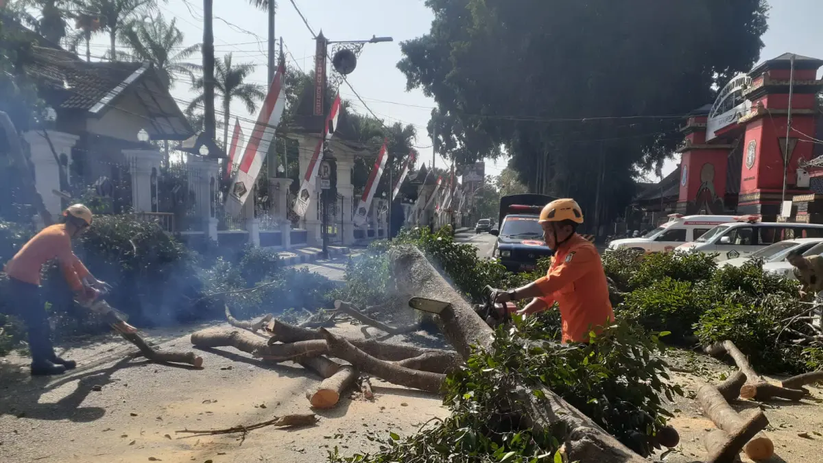 Petugas BPBD Kota Blitar membersihkan material dahan pohon yang tumbang di Jalan Semeru.