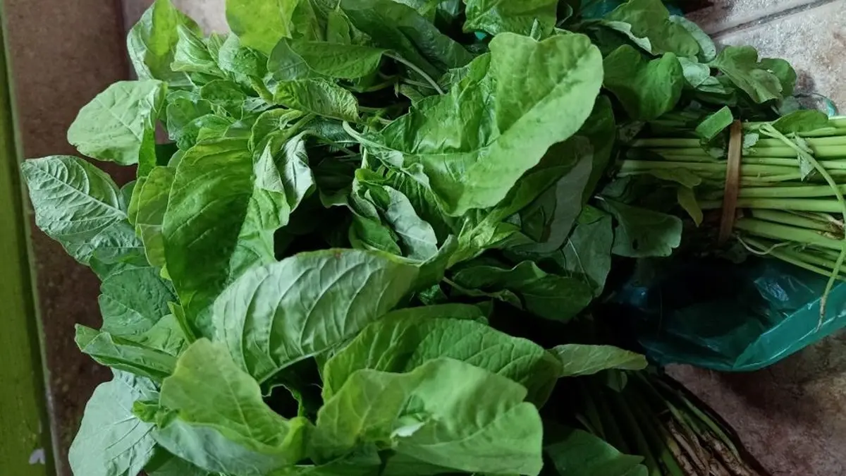 Manfaat sayur bayam meliputi dukungan untuk mata, imunitas, tekanan darah hingga asupan serat. Simak khasiatnya untuk menu harian. (PINTEREST)