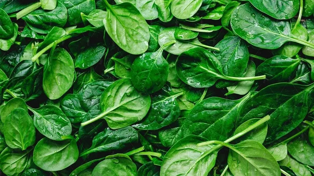 Manfaat sayur bayam meliputi dukungan untuk mata, pencernaan dan tulang. Ketahui juga risiko oksalat serta cara mengolahnya dengan tepat. (PINTEREST)