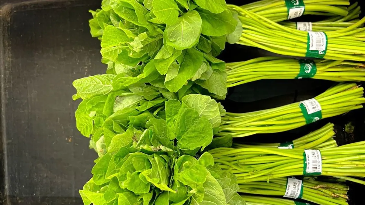 Manfaat sayur bayam ternyata beragam, dari mendukung anemia hingga tulang. Simak fakta gizinya dan cara mengolah bayam yang tepat. (PINTEREST)