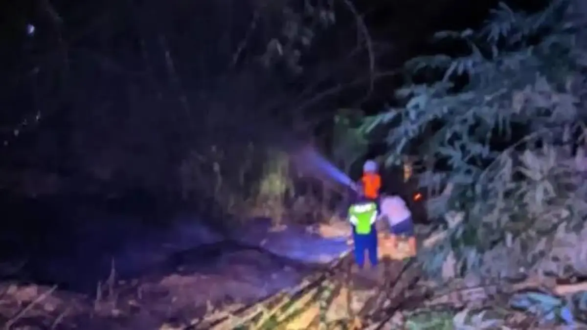 RESPONS CEPAT: Petugas BPBD memadamkan api yang membakar lahan di Gunung Pegat beberapa waktu lalu.
