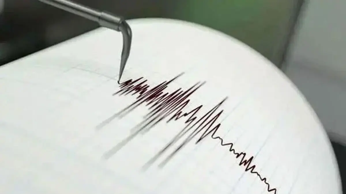 Potensi tsunami NTT usai gempa M7,7 dipantau BMKG. Tsunami terdeteksi di bawah 0,5 meter, sementara gempa susulan masih terjadi. (PINTEREST)