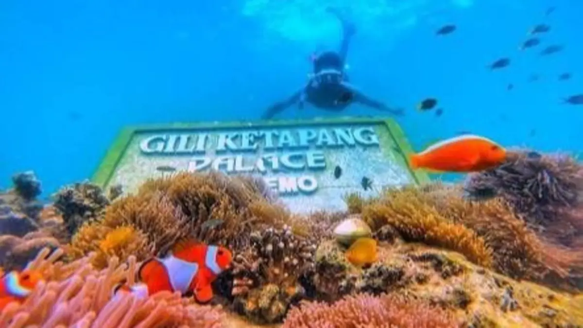 Gili Ketapang Probolinggo menawarkan snorkeling dua spot, pantai pasir putih dan seafood. Paket wisata mulai Rp100 ribu, lengkap dengan pilihan makan.(Pinterest)
