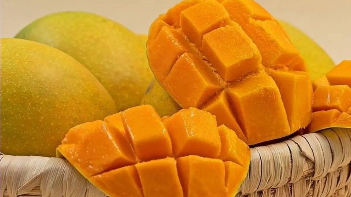 Manfaat mangga disebut mencakup membantu menjaga gula darah, kesehatan jantung, mata, otak, tulang, hingga pencernaan. (PINTEREST)
