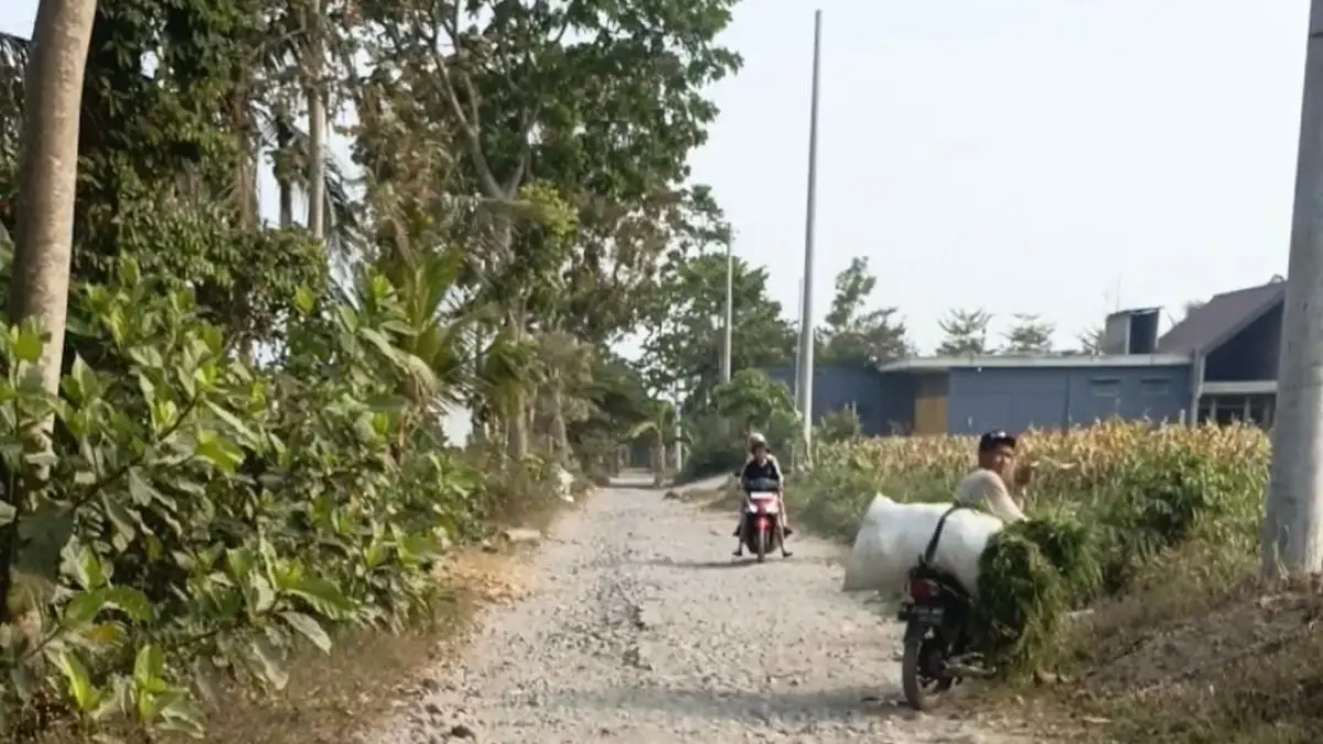 BUTUH PERHATIAN: Salah satu titik jalan di Desa Butun, Kecamatan Gandusari, yang mengalami rusak parah.