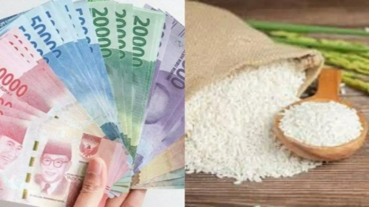 PKH BPNT tahap 3 kembali cair melalui BNI dan BRI. Sejumlah KPM menerima Rp600 ribu hingga Rp1,8 juta. Simak daerah dan info pencairannya.(Pinterest)