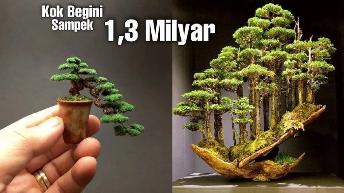 Bonsai termahal di dunia memiliki harga hingga Rp1,3 miliar. Simak daftar bonsai Shunka-en, Goshin, Sylvestris, hingga Penjing Landscape.