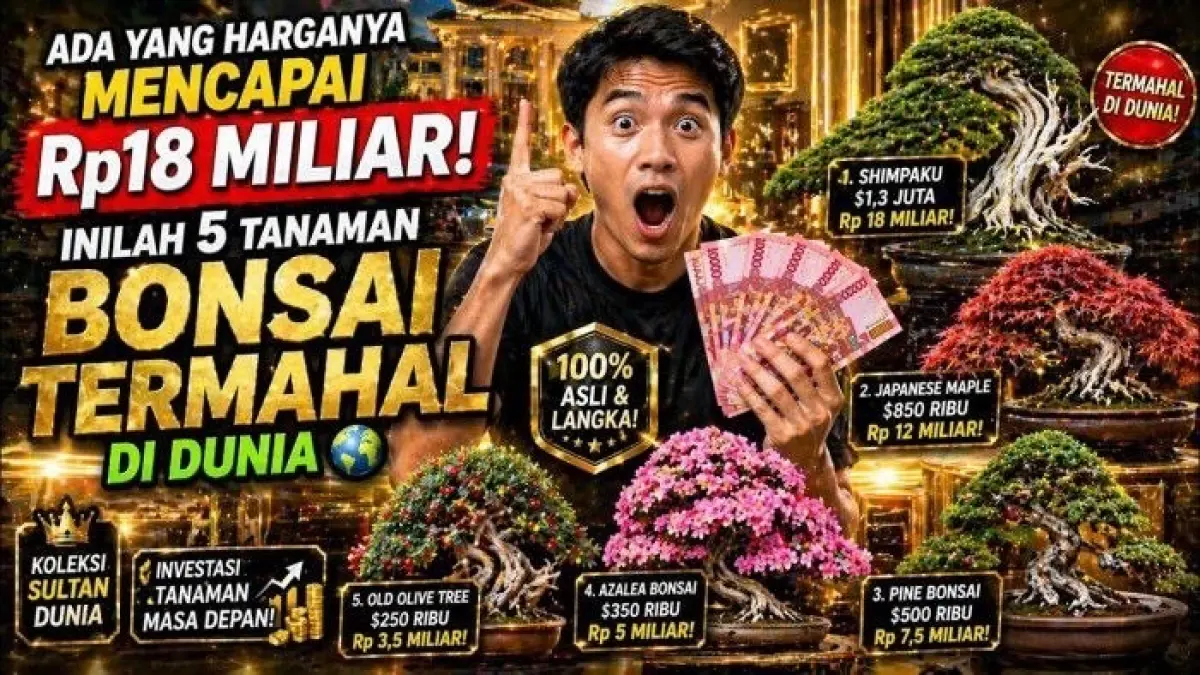 Bonsai termahal di dunia mencapai Rp18 miliar. Simak daftar lima bonsai langka dengan harga fantastis dan usia hingga 1.000 tahun.