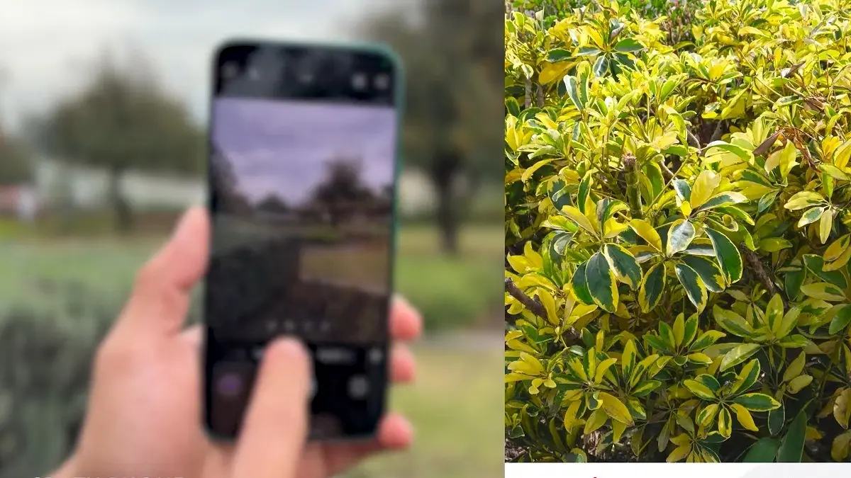 HP Samsung terbaru dari seri Galaxy S menawarkan pilihan flagship dengan kamera, layar AMOLED dan performa tinggi dalam beragam kelas harga. (SC YOUTUBE)