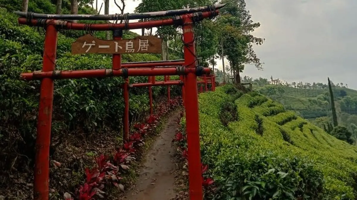 Sirah Kencong Blitar menawarkan perjalanan 20 kilometer dari Wlingi dengan hamparan kebun teh, udara sejuk, dan panorama lereng Gunung Kawi.(Pinterest)