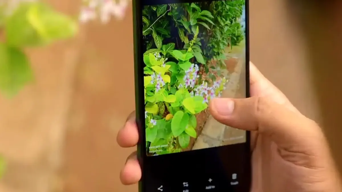 HP Snapdragon dengan kamera OIS hadir mulai Rp2 jutaan, dengan pilihan kamera 50 MP hingga 200 MP dan video hingga 4K 60 FPS. (SC YOUTUBE)