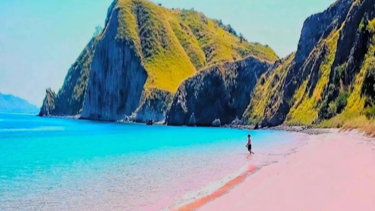 Pantai Pink Lombok Timur atau Pantai Tangsi punya pasir merah muda, air jernih, ombak tenang, serta akses darat dan laut.(Pinterest)