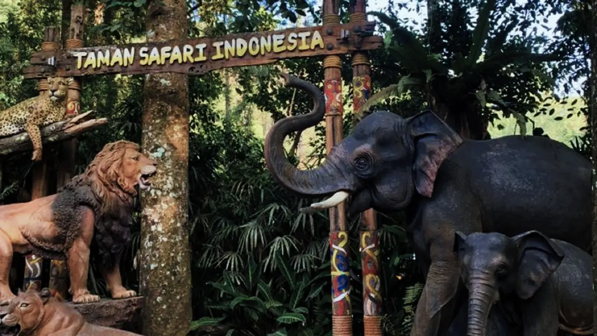 Taman Safari Bogor menghadirkan petualangan melihat satwa dari dekat, mulai gajah dan rusa hingga singa serta harimau. (PINTEREST)
