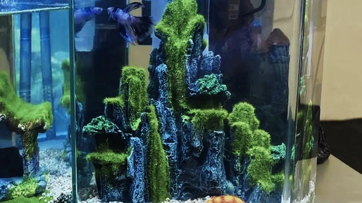Aquascape pemula perlu memperhatikan substrat, tanaman, air, ikan, pencahayaan, water change, hingga filtrasi agar setup lebih tepat. (PINTEREST)