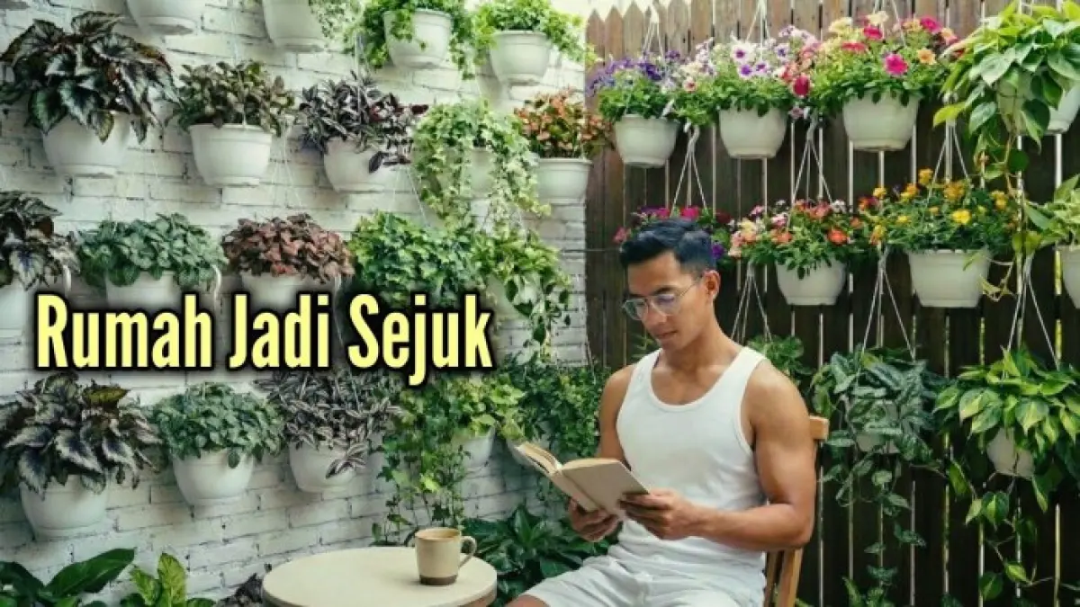 21 tanaman hias gantung untuk mempercantik rumah, mulai dari pakis Boston, petunia, pothos, hingga suplir yang cocok di berbagai ruang.
