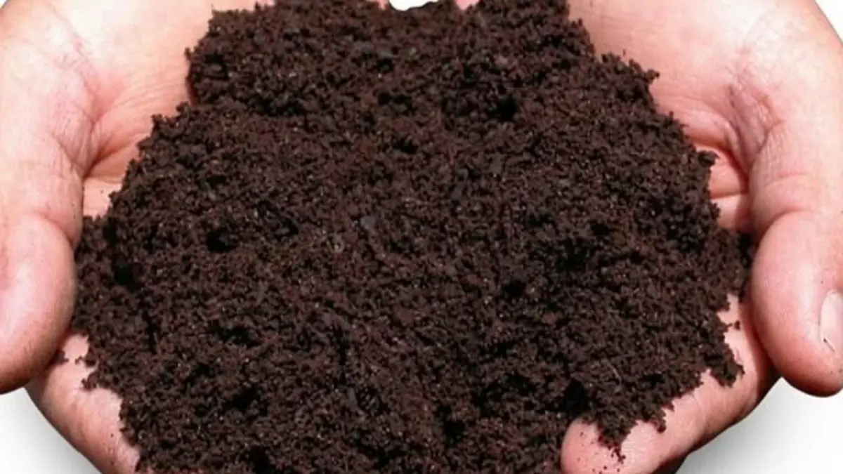 Cara membuat media tanam untuk polybag dengan tanah, sekam mentah, sekam bakar, dan pupuk kandang fermentasi.(Pinterest)