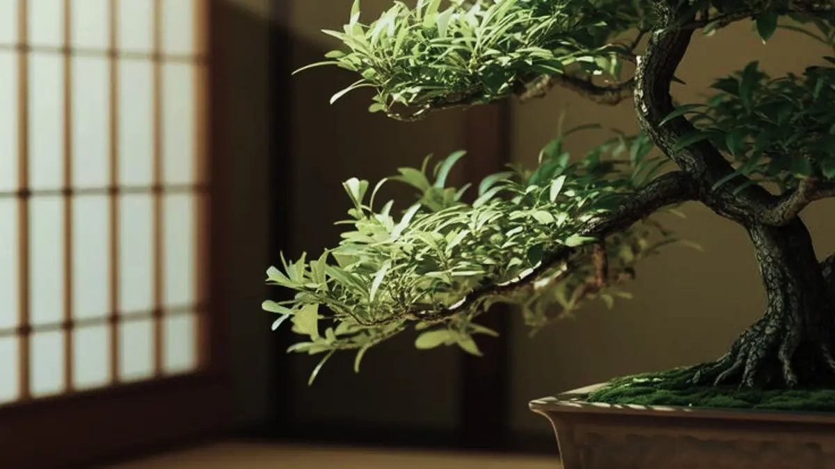 Cara menanam bonsai untuk pemula terdiri dari pemilihan tanaman, media tanam, penanaman, perawatan, dan pembentukan. (PINTEREST)
