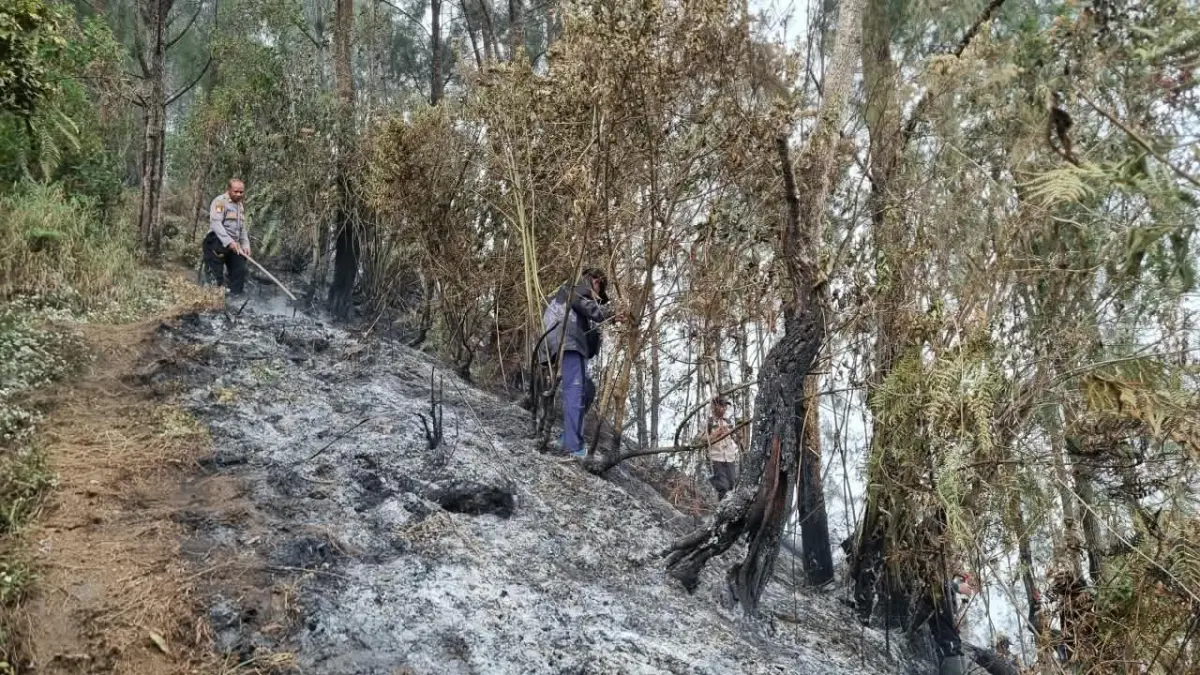 MEREMBET: Tampak api masih melalap Gunung Butak yang mengarah perkebunan Sirah Kencong, Selasa (15/9).