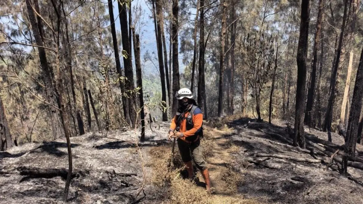 PADAMKAN API: Helikopter water bombing mengguyur titik karhutla Gunung Butak dalam tiga sortie, Rabu (16/9).