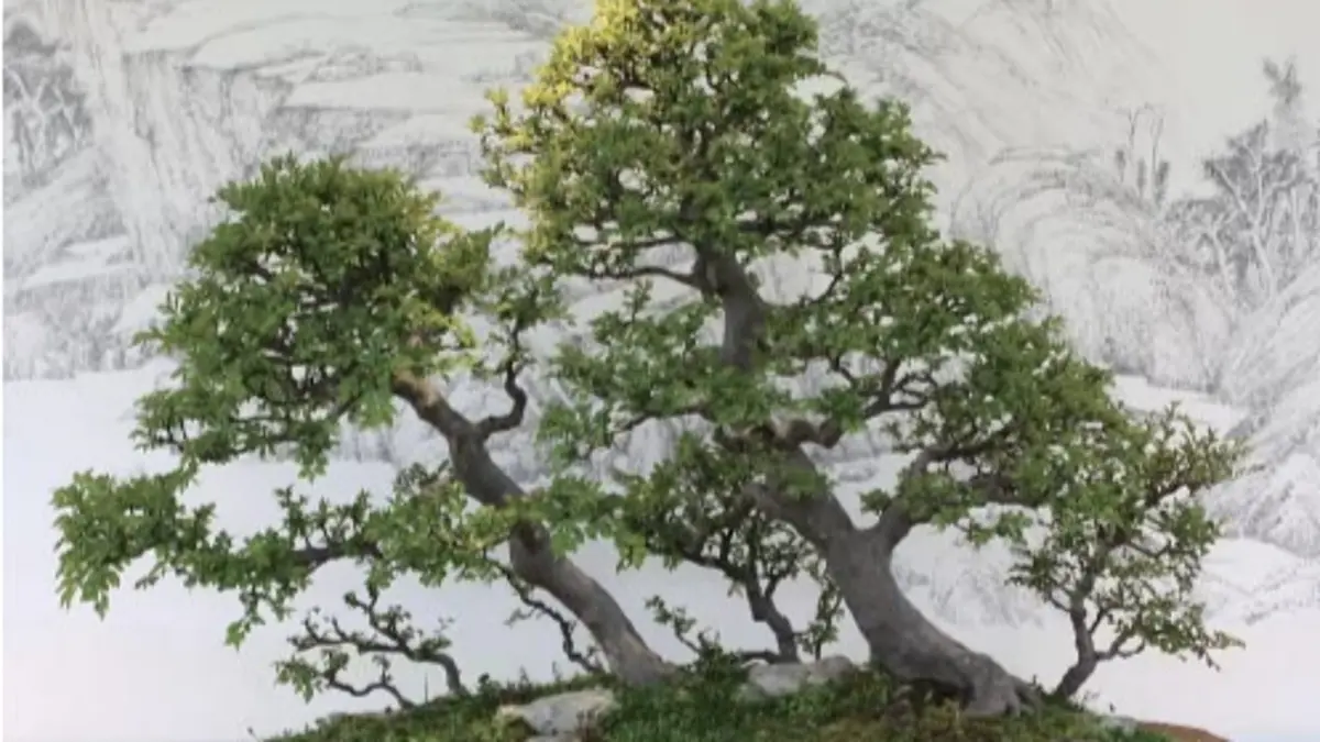 Cara merawat bonsai mencakup penyiraman, kebersihan, pruning, pemupukan, hingga wiring untuk membentuk cabang. (Pinterest)