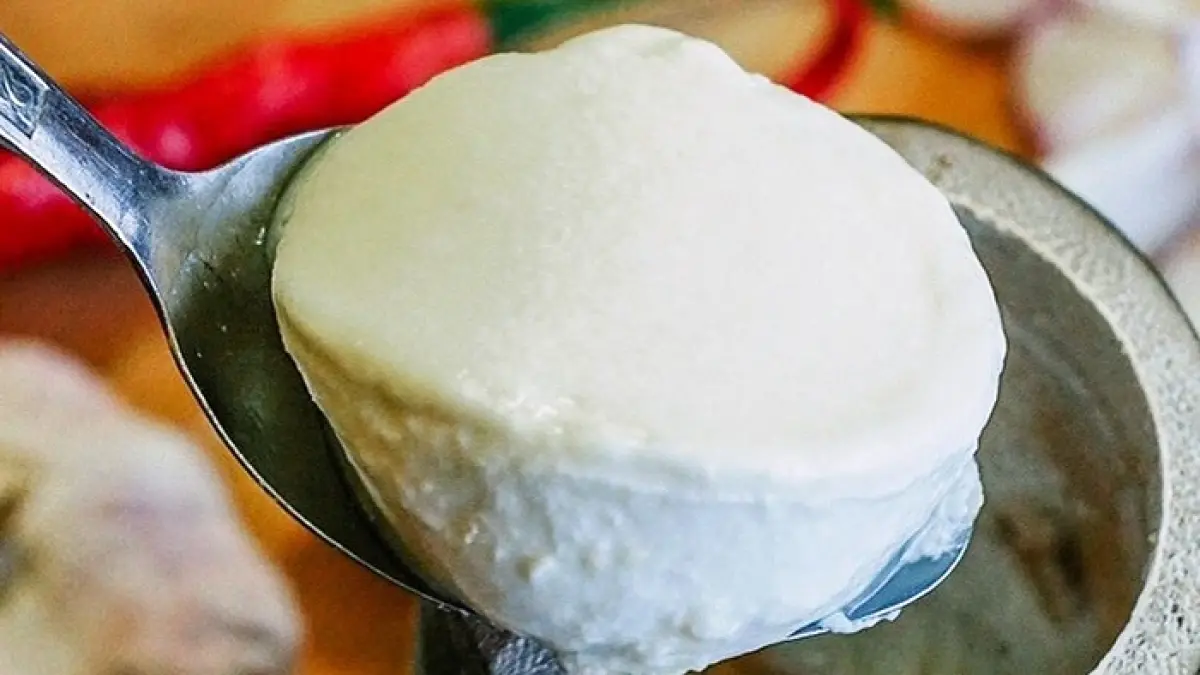 Ampiang Dadiah merupakan kuliner khas Minangkabau dari susu kerbau yang difermentasi dalam bambu selama 24 jam.(Gemini AI)