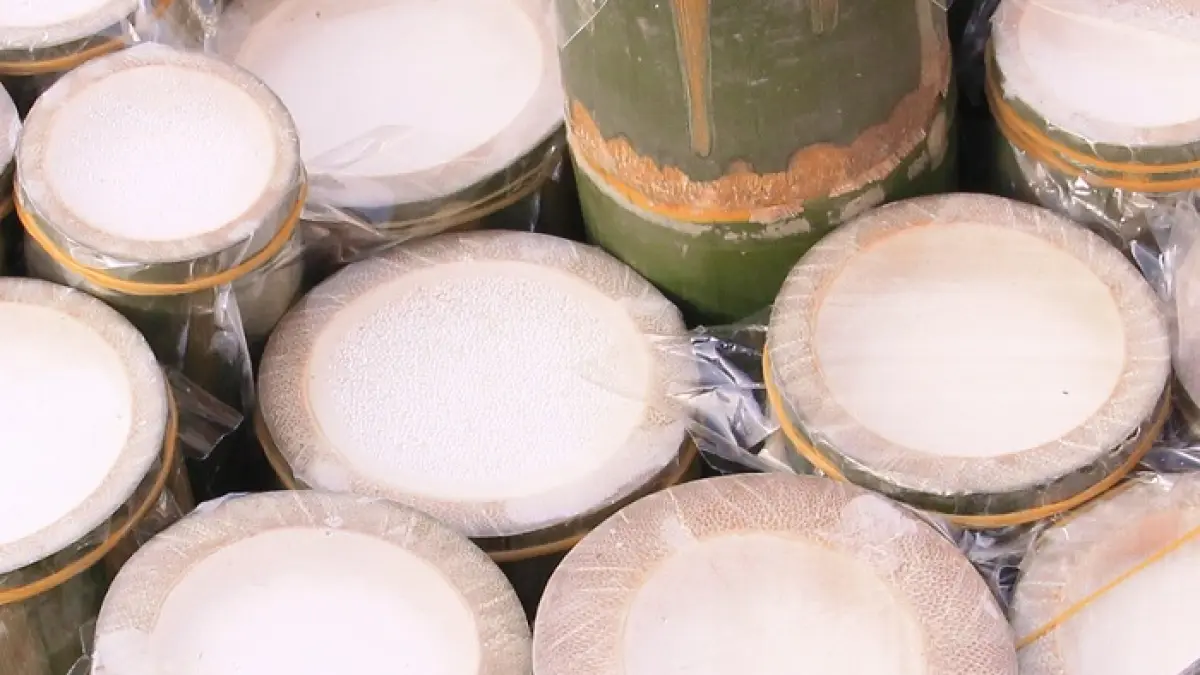 Dadiah merupakan susu kerbau fermentasi khas Minang yang disimpan dalam bambu semalaman dan bisa dinikmati dengan balado atau ampiang.(Gemini AI)