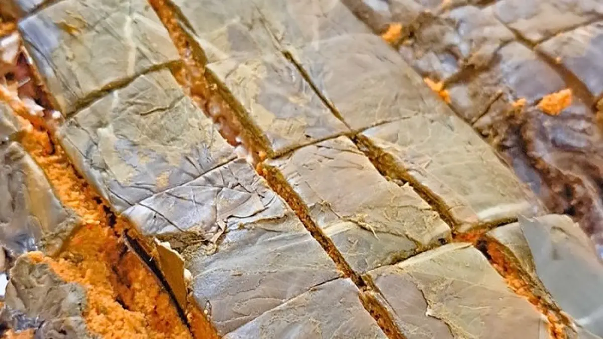 Pendap Bengkulu merupakan kuliner tradisional berbahan ikan dan daun talas dengan balutan bumbu rempah yang dimasak dalam waktu lama.(Gemini AI)
