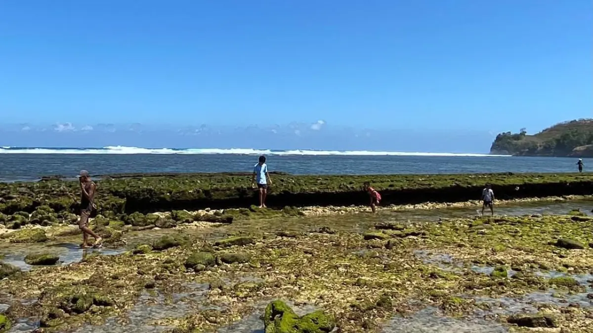 EKSOTIS : Pemandangan indah Pantai Gemilang yang masih jarang wisatawan