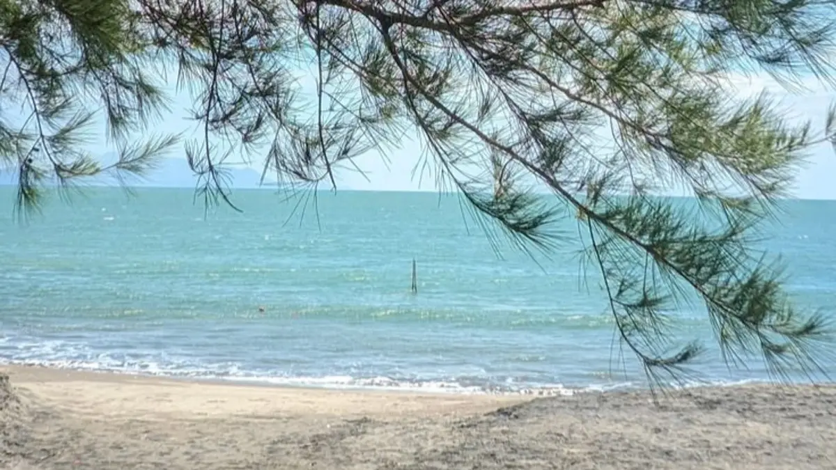 Pantai terpopuler di Trenggalek punya 7 destinasi dengan wisata bahari, kuliner, mangrove, hingga air terjun. (Pinterest)