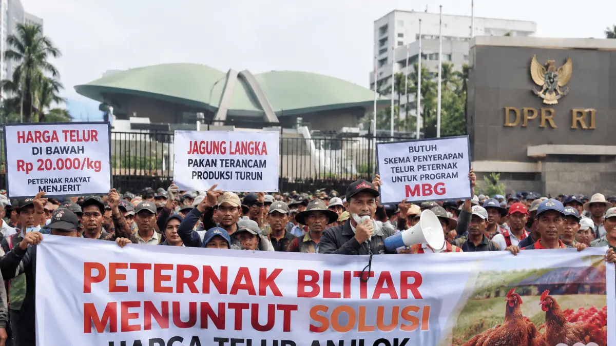Peternak Blitar Tuntut Solusi Harga Telur.