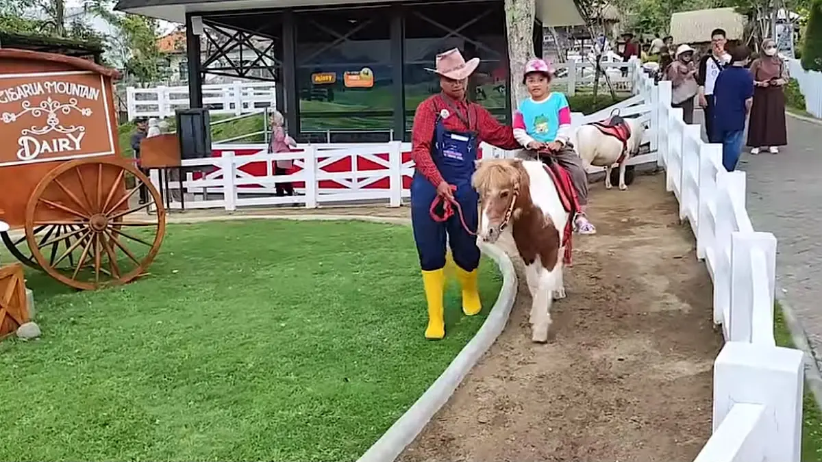 Chimory Dairy Land Prigen menawarkan wisata satwa, Sakura Park, rainbow slide, hingga Sky Ride dengan tiket mulai Rp35 ribu.(sc youtube)