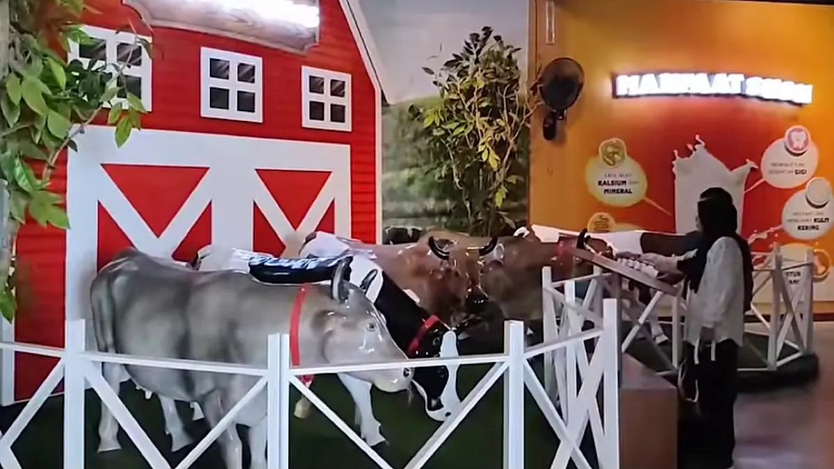 Chimory Dairy Land Prigen punya Bertopia, Sakura Park, wahana seru, dan interaksi satwa. Tiket masuk mulai Rp35 ribu.(sc youtube)