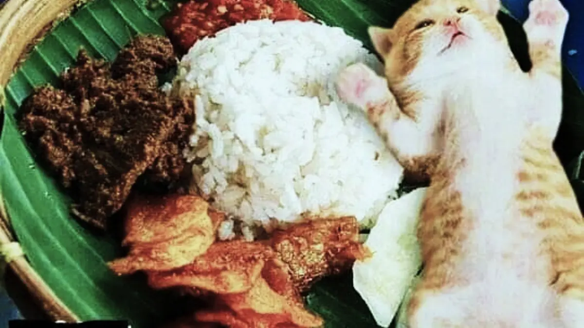 Nasi kucing berisi mie goreng, kering tempe, sambal teri dan telur. Cara bungkusnya praktis tanpa steples. (PINTEREST)