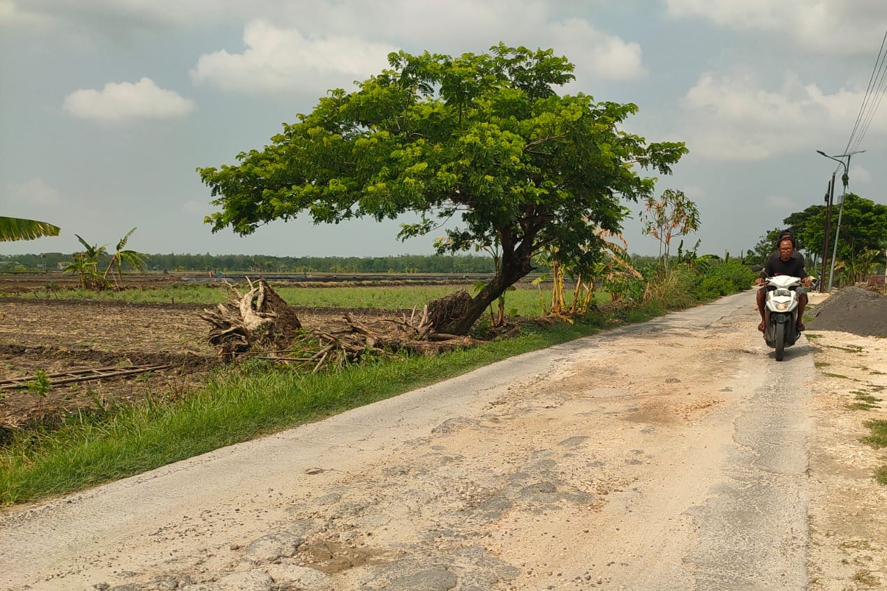 BUTUH PERBAIKAN: Kondisi titik japordes yang seharusnya menerima bantuan proyek dari BKD APBD Tahun 2023, tapi belum direalisasikan oleh pemdes setempat. (ist. / radar lamongan)