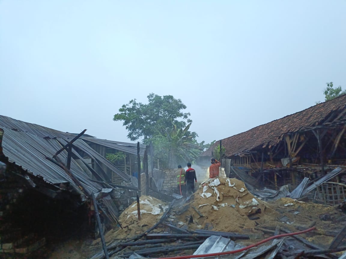 RUGI RP 150 JUTA: Gudang berisi pakan ayam di Desa Tlanak, Kedungpring terbakar kemarin (8/1) pagi