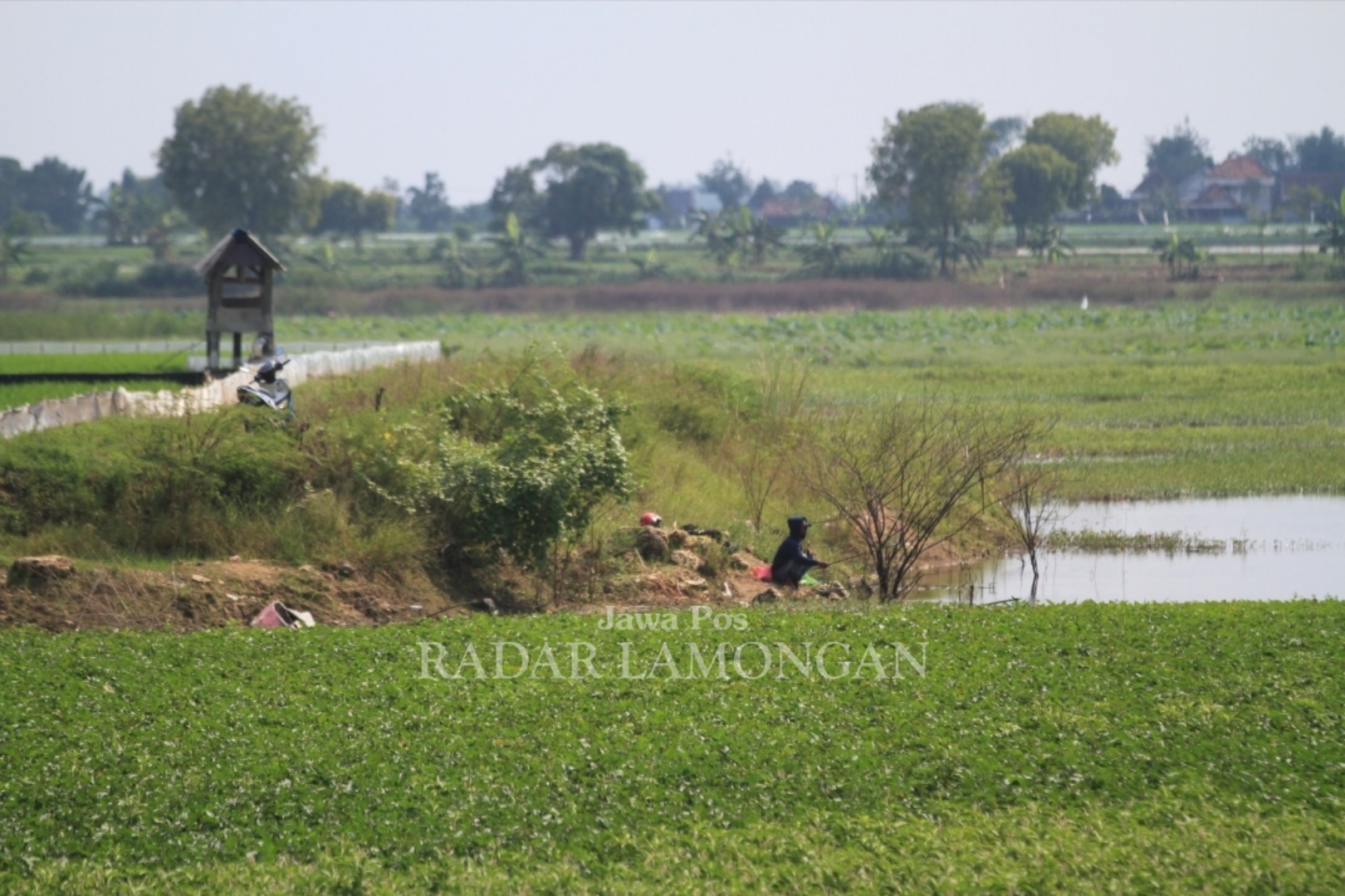 TAMPUNGAN AIR: Dinas PU SDA Lamongan berencana menormalisasi sejumlah waduk di Lamongan yang belum terisi penuh. (Anjar. / rdrlmg)