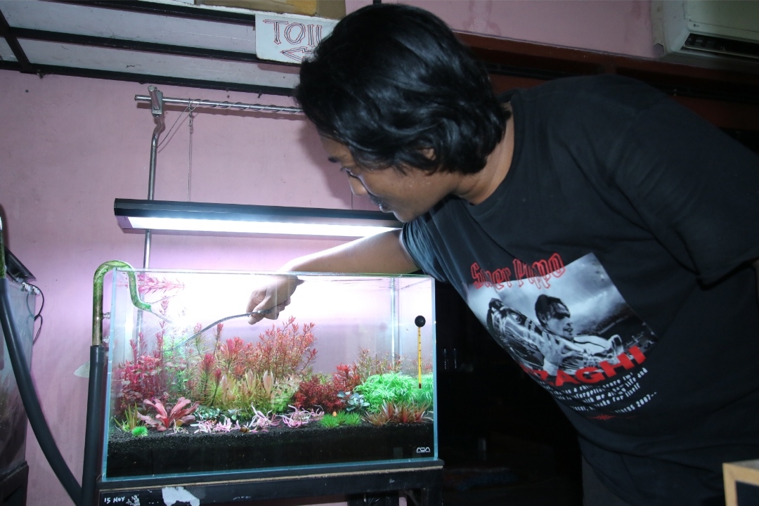 KONSISTEN: Irham Syaikhu Wanda menunjukkan koleksi aquascape di rumahnya. (Anjar. / rdrlmg)