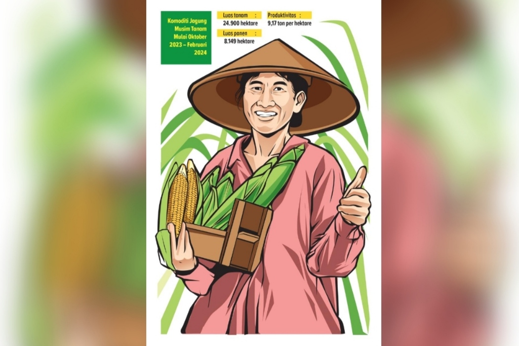 Memasuki musim panen, stok jagung di Lamongan berlimpah