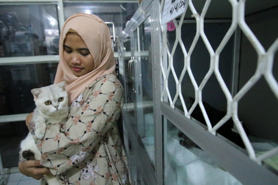 Penitipan hewan meningkat selama libur lebaran, beberapa fasilitas menjadi salah satu daya tarik (Anjar./ Rdrlmg)