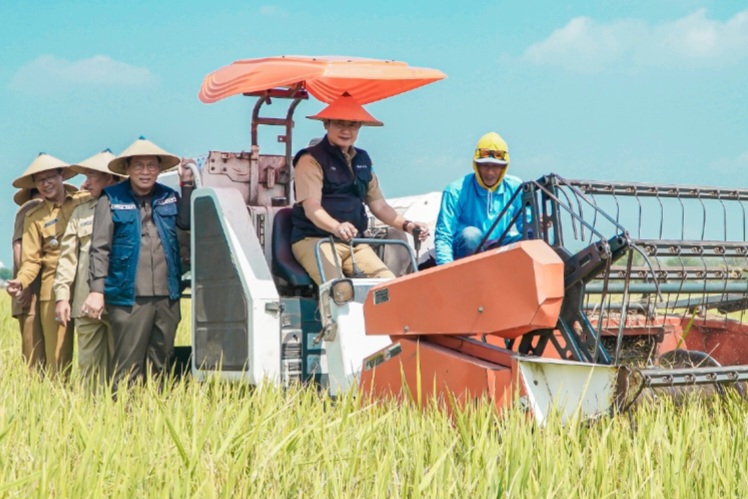 SEMRINGAH: Bupati Yes bersama Wabup Rouf saat meninjau panen raya di Desa Sungelebak, Kecamatan Karanggeneng (Ist. / Rdrlmg)