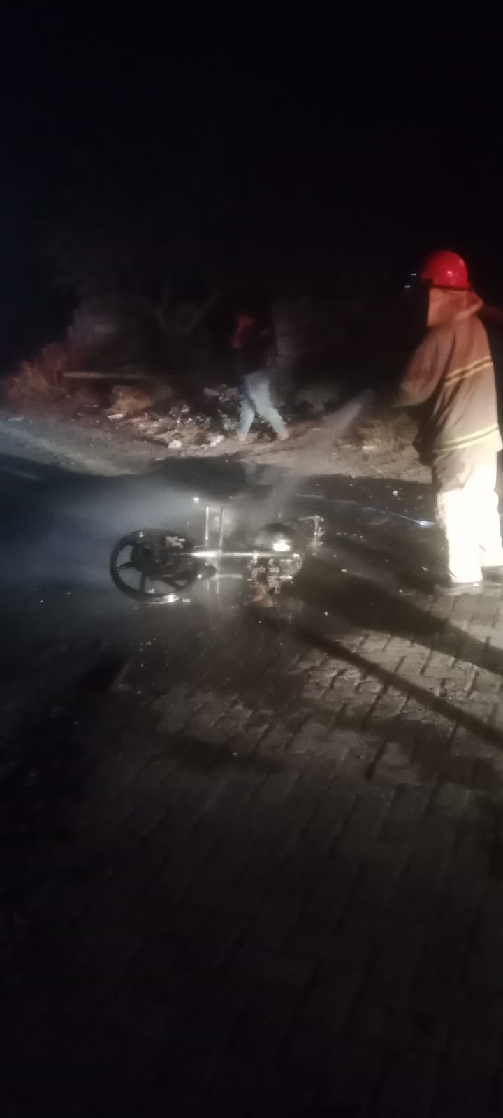 Petugas Pemadam Kebakaran menjinakkan api yang membakar motor (IST/RADAR LAMONGAN)